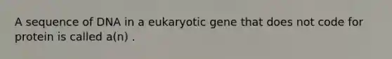 A sequence of DNA in a eukaryotic gene that does not code for protein is called a(n) .