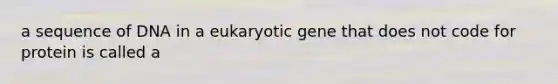 a sequence of DNA in a eukaryotic gene that does not code for protein is called a