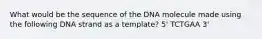 What would be the sequence of the DNA molecule made using the following DNA strand as a template? 5' TCTGAA 3'