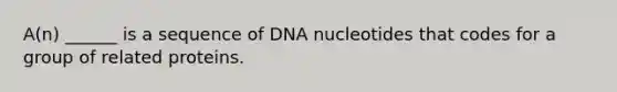 A(n) ______ is a sequence of DNA nucleotides that codes for a group of related proteins.