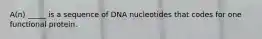 A(n) _____ is a sequence of DNA nucleotides that codes for one functional protein.