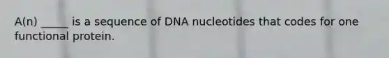 A(n) _____ is a sequence of DNA nucleotides that codes for one functional protein.