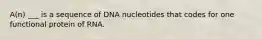 A(n) ___ is a sequence of DNA nucleotides that codes for one functional protein of RNA.