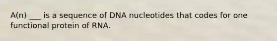 A(n) ___ is a sequence of DNA nucleotides that codes for one functional protein of RNA.