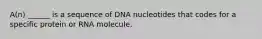 A(n) ______ is a sequence of DNA nucleotides that codes for a specific protein or RNA molecule.