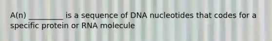 A(n) _________ is a sequence of DNA nucleotides that codes for a specific protein or RNA molecule