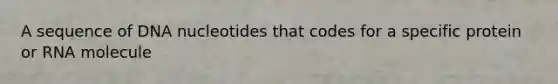 A sequence of DNA nucleotides that codes for a specific protein or RNA molecule