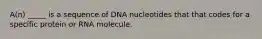 A(n) _____ is a sequence of DNA nucleotides that that codes for a specific protein or RNA molecule.