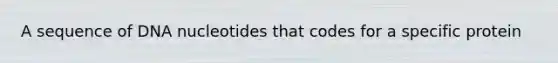 A sequence of DNA nucleotides that codes for a specific protein