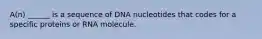 A(n) ______ is a sequence of DNA nucleotides that codes for a specific proteins or RNA molecule.