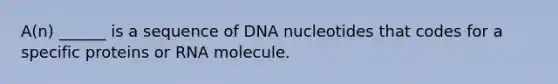 A(n) ______ is a sequence of DNA nucleotides that codes for a specific proteins or RNA molecule.