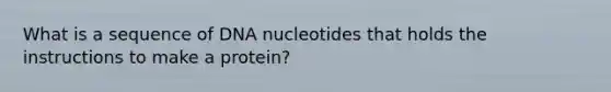 What is a sequence of DNA nucleotides that holds the instructions to make a protein?