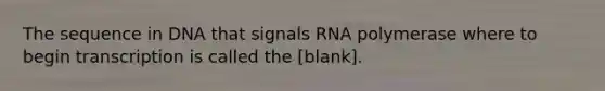 The sequence in DNA that signals RNA polymerase where to begin transcription is called the [blank].