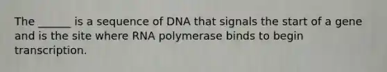 The ______ is a sequence of DNA that signals the start of a gene and is the site where RNA polymerase binds to begin transcription.