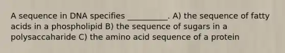 A sequence in DNA specifies __________. A) the sequence of fatty acids in a phospholipid B) the sequence of sugars in a polysaccaharide C) the amino acid sequence of a protein