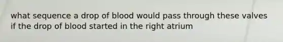 what sequence a drop of blood would pass through these valves if the drop of blood started in the right atrium