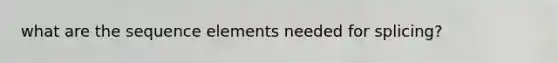 what are the sequence elements needed for splicing?