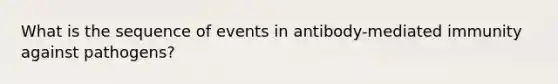 What is the sequence of events in antibody-mediated immunity against pathogens?