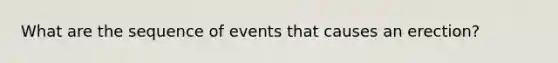 What are the sequence of events that causes an erection?