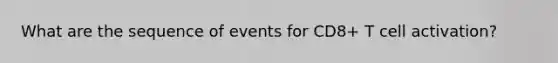 What are the sequence of events for CD8+ T cell activation?