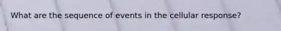 What are the sequence of events in the cellular response?