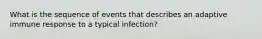 What is the sequence of events that describes an adaptive immune response to a typical infection?