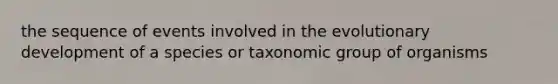 the sequence of events involved in the evolutionary development of a species or taxonomic group of organisms