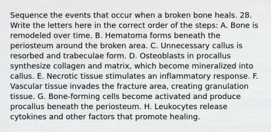 Sequence the events that occur when a broken bone heals. 28. Write the letters here in the correct order of the steps: A. Bone is remodeled over time. B. Hematoma forms beneath the periosteum around the broken area. C. Unnecessary callus is resorbed and trabeculae form. D. Osteoblasts in procallus synthesize collagen and matrix, which become mineralized into callus. E. Necrotic tissue stimulates an inflammatory response. F. Vascular tissue invades the fracture area, creating granulation tissue. G. Bone-forming cells become activated and produce procallus beneath the periosteum. H. Leukocytes release cytokines and other factors that promote healing.