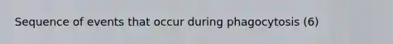 Sequence of events that occur during phagocytosis (6)