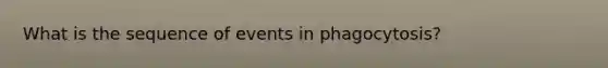 What is the sequence of events in phagocytosis?