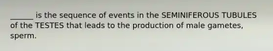 ______ is the sequence of events in the SEMINIFEROUS TUBULES of the TESTES that leads to the production of male gametes, sperm.