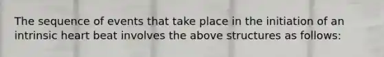 The sequence of events that take place in the initiation of an intrinsic heart beat involves the above structures as follows: