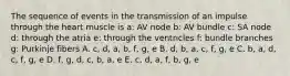 The sequence of events in the transmission of an impulse through the heart muscle is a: AV node b: AV bundle c: SA node d: through the atria e: through the ventricles f: bundle branches g: Purkinje fibers A. c, d, a, b, f, g, e B. d, b, a, c, f, g, e C. b, a, d, c, f, g, e D. f, g, d, c, b, a, e E. c, d, a, f, b, g, e