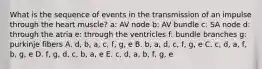 What is the sequence of events in the transmission of an impulse through the heart muscle? a: AV node b: AV bundle c: SA node d: through the atria e: through the ventricles f: bundle branches g: purkinje fibers A. d, b, a, c, f, g, e B. b, a, d, c, f, g, e C. c, d, a, f, b, g, e D. f, g, d, c, b, a, e E. c, d, a, b, f, g, e