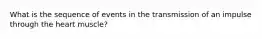 What is the sequence of events in the transmission of an impulse through the heart muscle?
