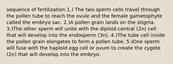 sequence of fertilization 1.) The two sperm cells travel through the pollen tube to reach the ovule and the female gametophyte called the embryo sac. 2.)A pollen grain lands on the stigma. 3.)The other sperm will unite with the diploid central (2n) cell that will develop into the endosperm (3n). 4.)The tube cell inside the pollen grain elongates to form a pollen tube. 5.)One sperm will fuse with the haploid egg cell or ovum to create the zygote (2n) that will develop into the embryo.