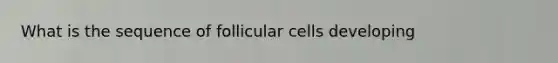 What is the sequence of follicular cells developing