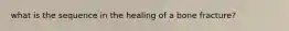 what is the sequence in the healing of a bone fracture?