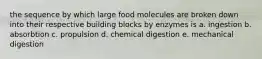 the sequence by which large food molecules are broken down into their respective building blocks by enzymes is a. ingestion b. absorbtion c. propulsion d. chemical digestion e. mechanical digestion