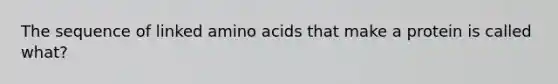 The sequence of linked amino acids that make a protein is called what?