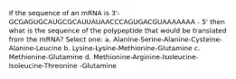 If the sequence of an mRNA is 3'- GCGAGUGCAUGCGCAUUAUAACCCAGUGACGUAAAAAAA - 5' then what is the sequence of the polypeptide that would be translated from the mRNA? Select one: a. Alanine-Serine-Alanine-Cysteine-Alanine-Leucine b. Lysine-Lysine-Methionine-Glutamine c. Methionine-Glutamine d. Methionine-Arginine-Isoleucine-Isoleucine-Threonine -Glutamine