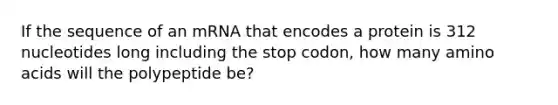 If the sequence of an mRNA that encodes a protein is 312 nucleotides long including the stop codon, how many <a href='https://www.questionai.com/knowledge/k9gb720LCl-amino-acids' class='anchor-knowledge'>amino acids</a> will the polypeptide be?