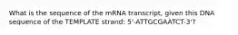 What is the sequence of the mRNA transcript, given this DNA sequence of the TEMPLATE strand: 5'-ATTGCGAATCT-3'?