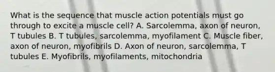 What is the sequence that muscle action potentials must go through to excite a muscle cell? A. Sarcolemma, axon of neuron, T tubules B. T tubules, sarcolemma, myofilament C. Muscle fiber, axon of neuron, myofibrils D. Axon of neuron, sarcolemma, T tubules E. Myofibrils, myofilaments, mitochondria