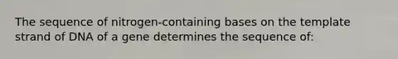 The sequence of nitrogen-containing bases on the template strand of DNA of a gene determines the sequence of: