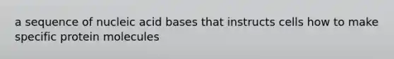 a sequence of nucleic acid bases that instructs cells how to make specific protein molecules