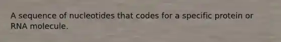 A sequence of nucleotides that codes for a specific protein or RNA molecule.