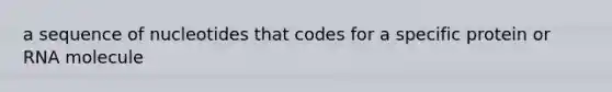 a sequence of nucleotides that codes for a specific protein or RNA molecule