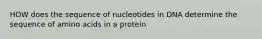 HOW does the sequence of nucleotides in DNA determine the sequence of amino acids in a protein