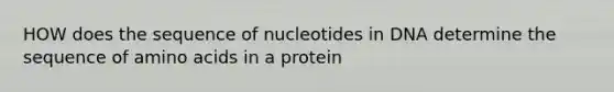 HOW does the sequence of nucleotides in DNA determine the sequence of amino acids in a protein